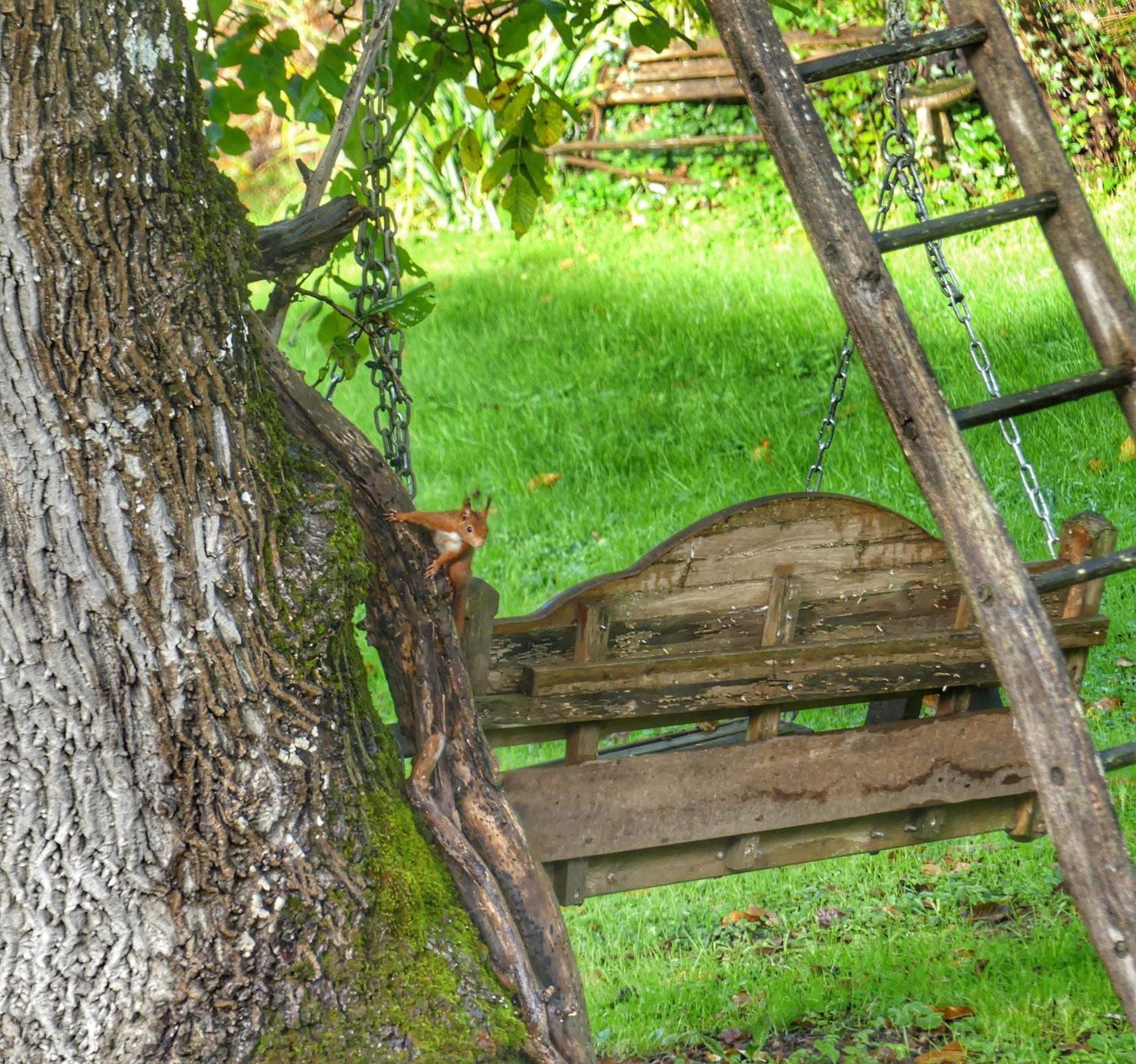 Au Coeur Des Loges Bed and Breakfast Saint-Bonnet-de-Bellac Buitenkant foto