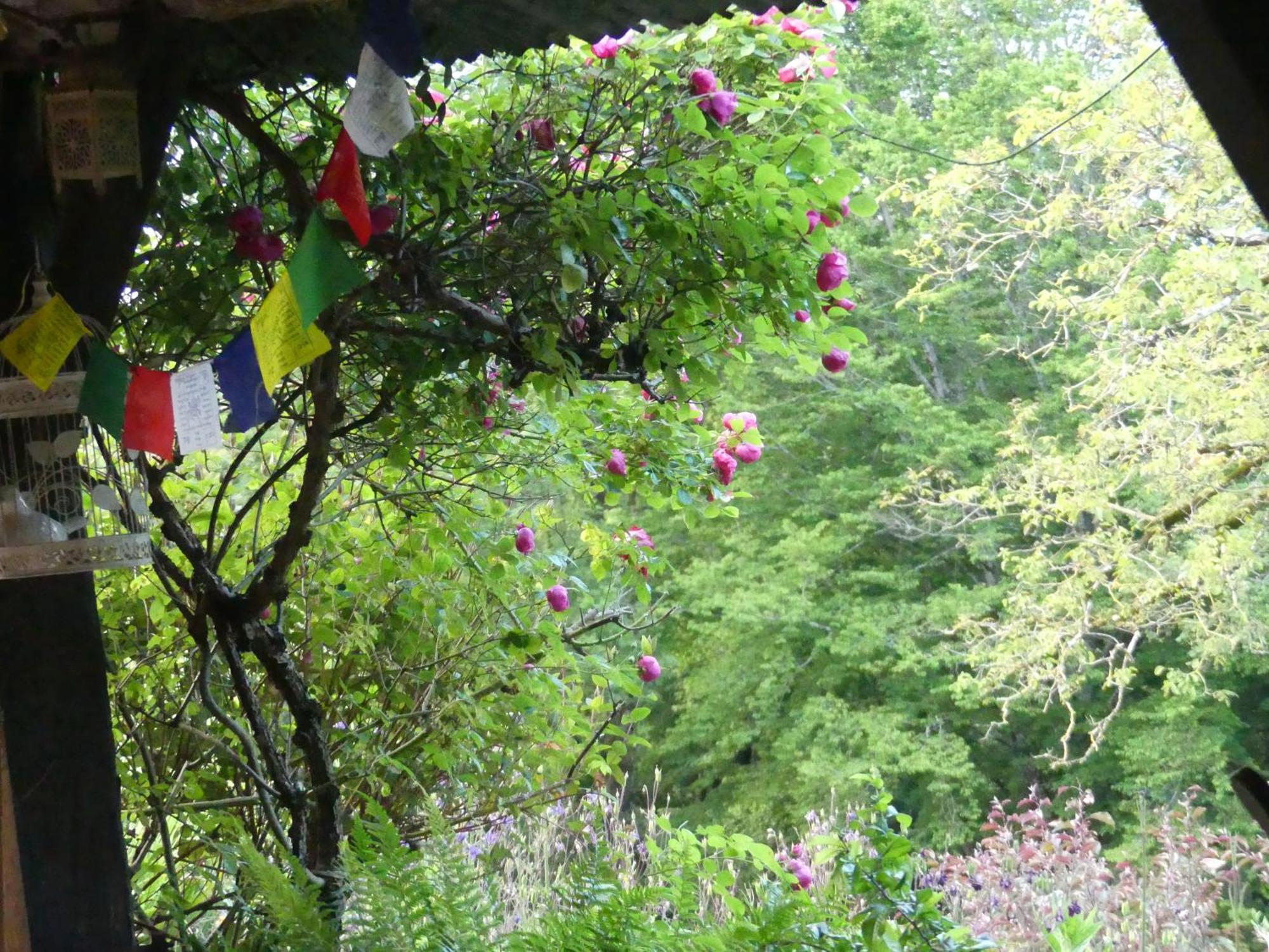 Au Coeur Des Loges Bed and Breakfast Saint-Bonnet-de-Bellac Buitenkant foto